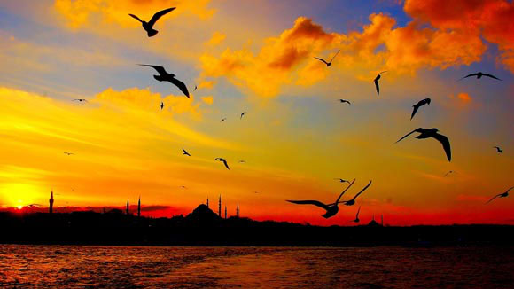 Vatanı İmanla Sev