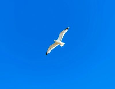 /website/assets/images/my1/images/6ab9390665515__444.jpeg
